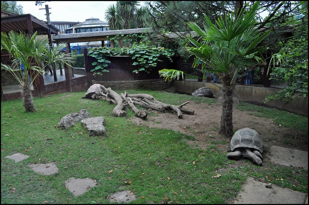 🦎 체감형 동물원 iZoo(이즈) 이미지 7